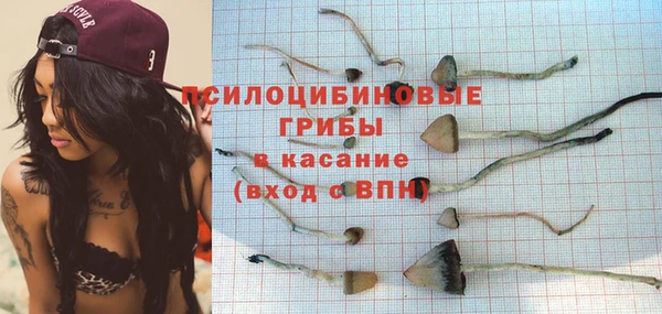 2c-b Балахна